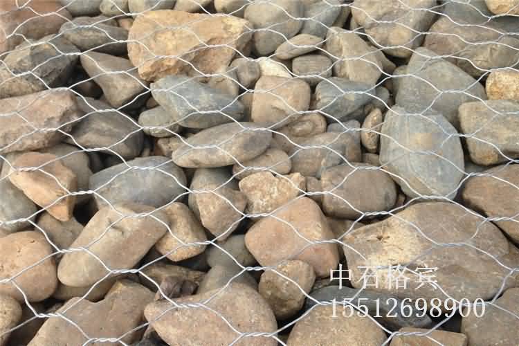 細節圖01.jpg 細節圖01.jpg